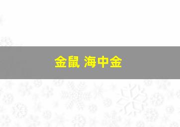 金鼠 海中金